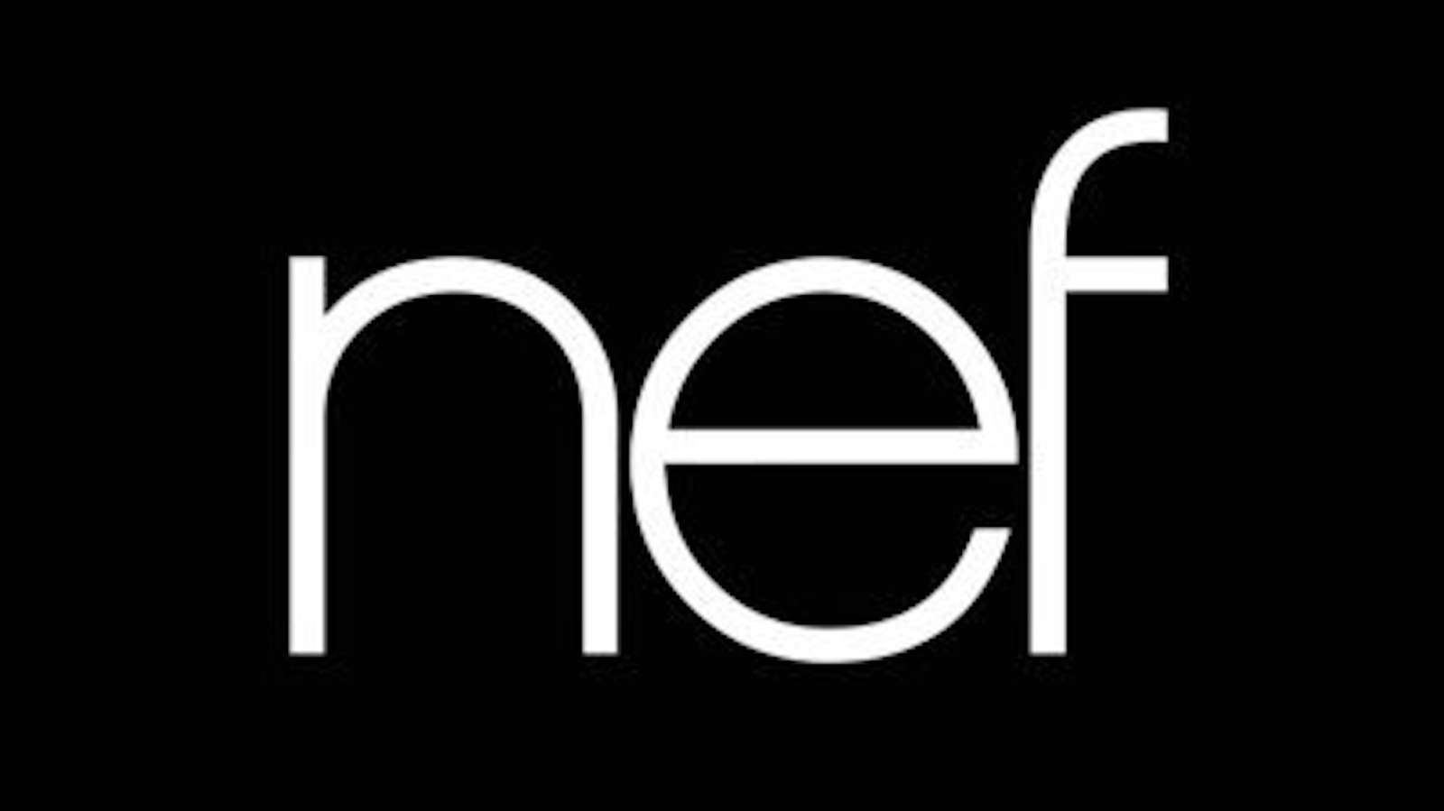 NEF Holding